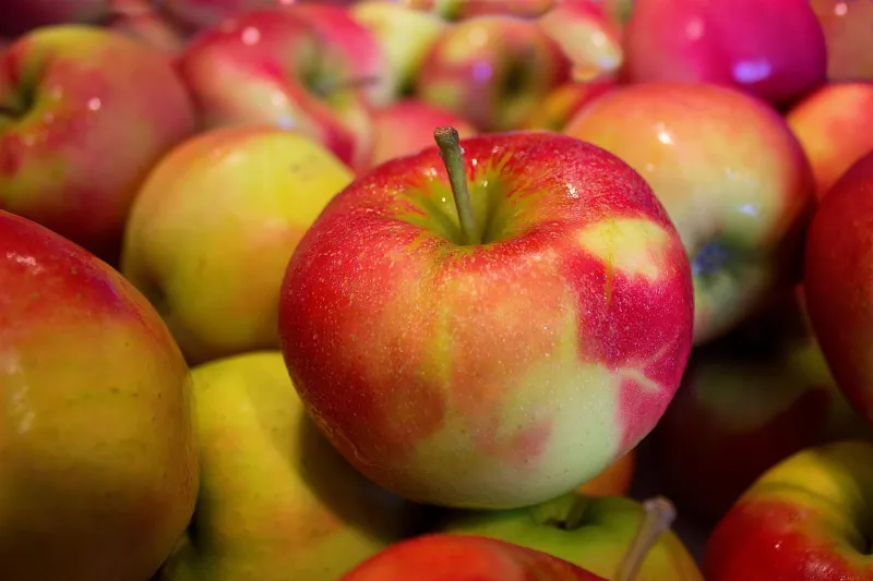 Aepfel (Foto: Pixabay) Aepfel (Foto: Pixabay)